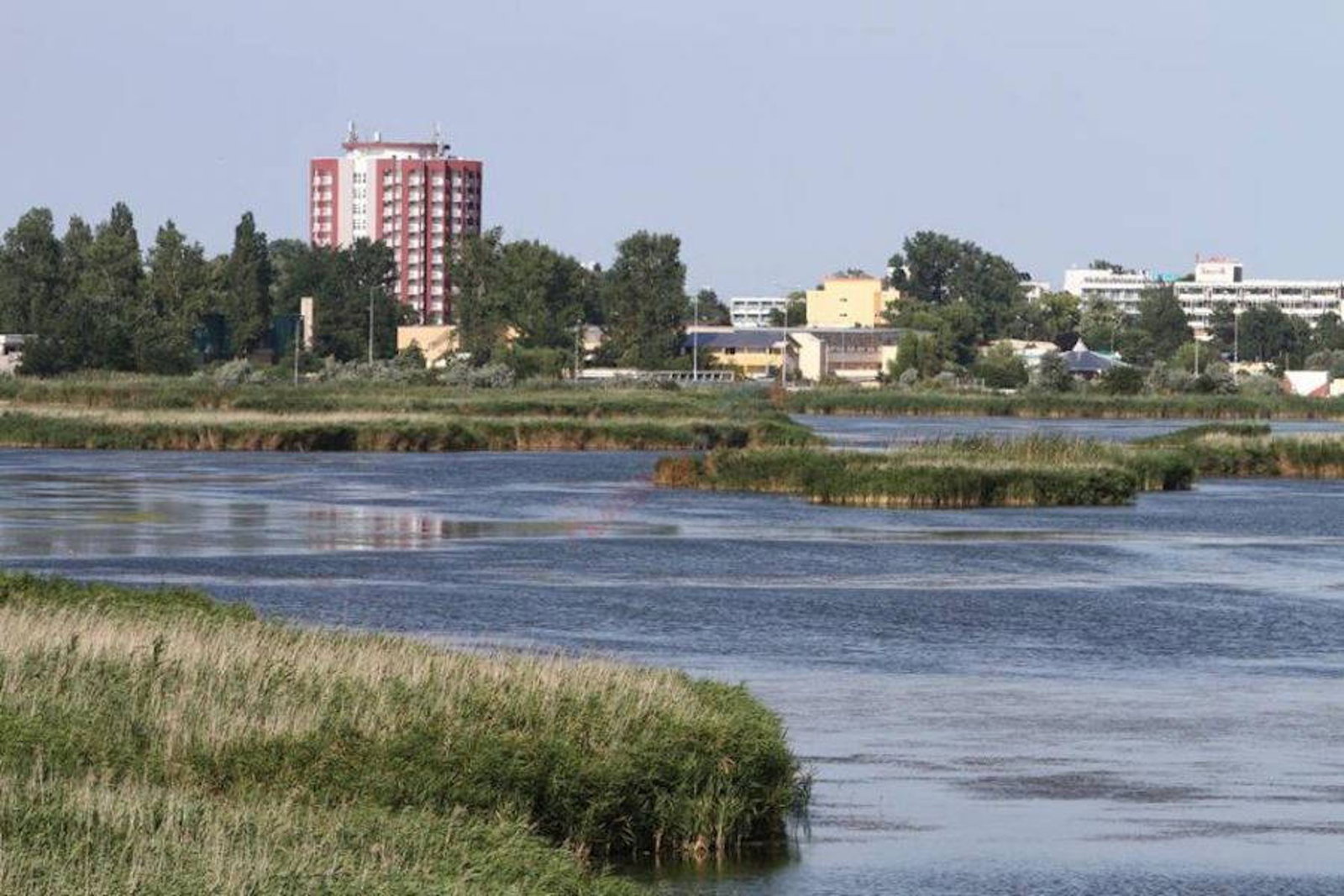 Rezervatia Naturala „Mlastina Hergheliei”