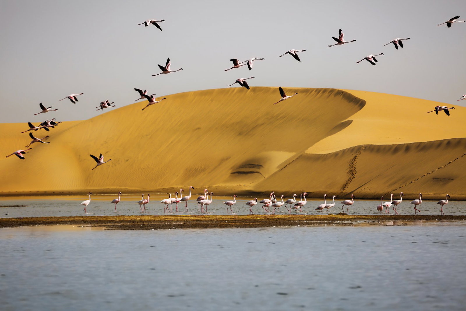 Coasta de Vest si Namibia