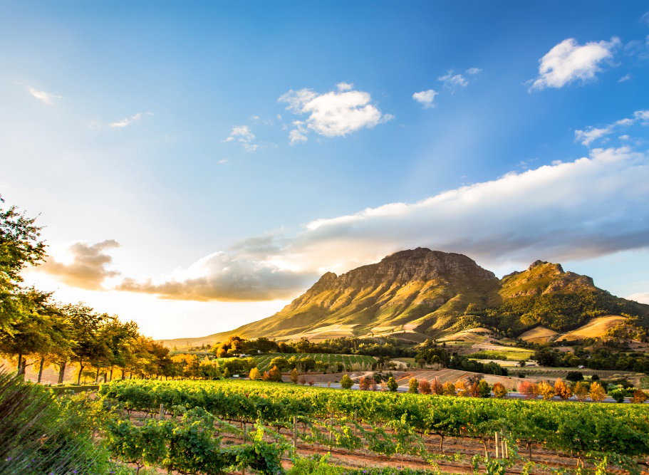 O imagine reprezentand croaziere africa de sud