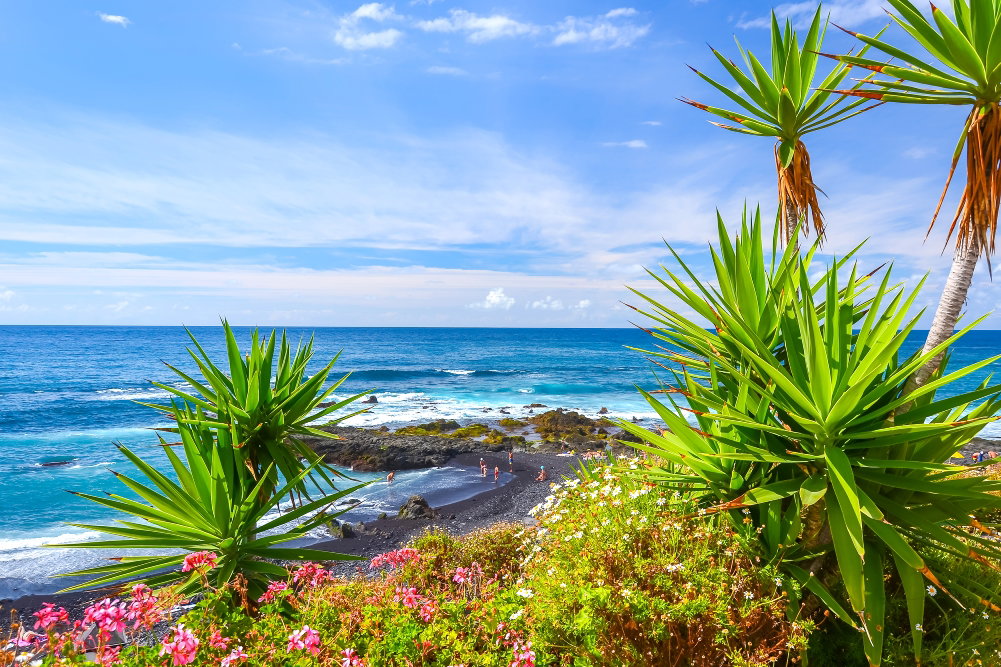 O imagine reprezentand Tenerife