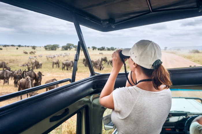 O imagine reprezentand circuite africa